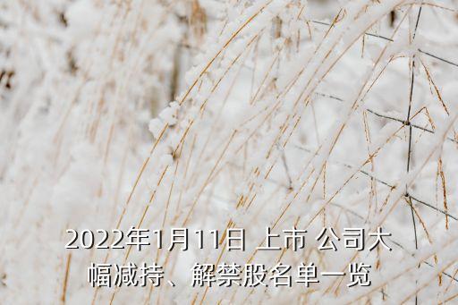 2022年1月11日 上市 公司大幅減持、解禁股名單一覽