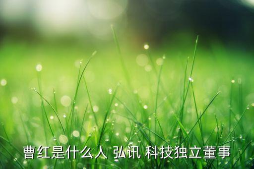 曹紅是什么人 弘訊 科技獨立董事