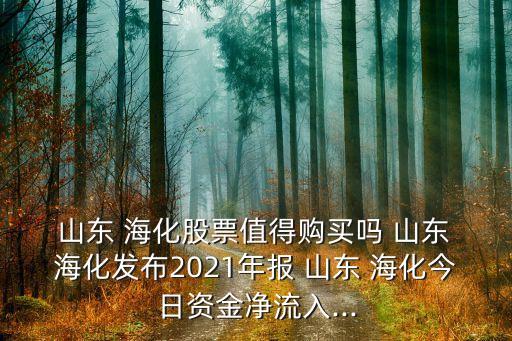  山東 ?；善敝档觅徺I嗎 山東 ?；l(fā)布2021年報 山東 ?；袢召Y金凈流入...