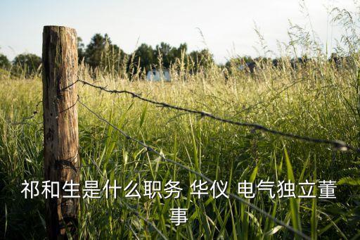 祁和生是什么職務(wù) 華儀 電氣獨立董事