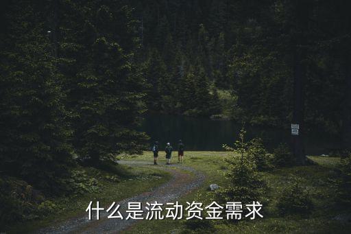 指在公司經(jīng)營(yíng)周期內(nèi)并未被更新的資產(chǎn)