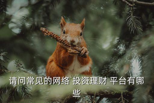 請(qǐng)問(wèn)常見(jiàn)的網(wǎng)絡(luò) 投資理財(cái) 平臺(tái)有哪些