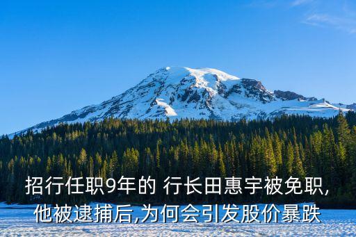 招行任職9年的 行長(zhǎng)田惠宇被免職,他被逮捕后,為何會(huì)引發(fā)股價(jià)暴跌