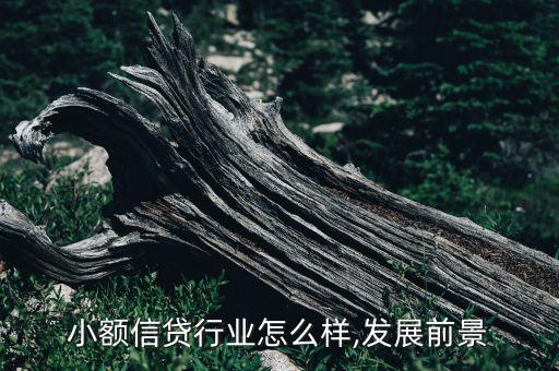 小額信貸行業(yè)怎么樣,發(fā)展前景