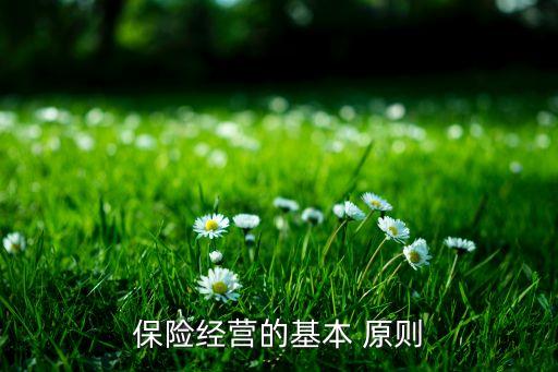 保險(xiǎn)投資的原則不包括,簡述保險(xiǎn)投資的原則