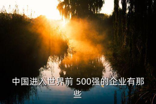 中國進入世界前 500強的企業(yè)有那些