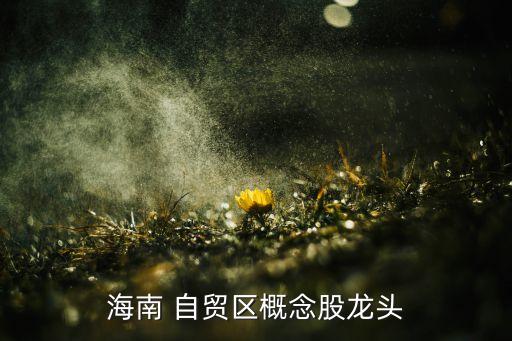 海南 自貿區(qū)概念股龍頭