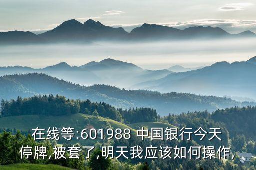 在線等:601988 中國銀行今天停牌,被套了,明天我應該如何操作,