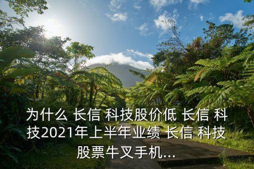 為什么 長信 科技股價低 長信 科技2021年上半年業(yè)績 長信 科技股票牛叉手機...