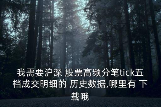 我需要滬深 股票高頻分筆tick五檔成交明細(xì)的 歷史數(shù)據(jù),哪里有 下載哦