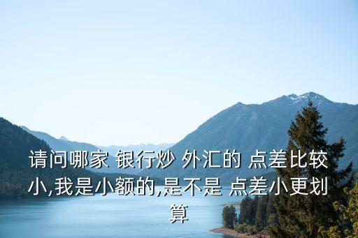 請問哪家 銀行炒 外匯的 點(diǎn)差比較小,我是小額的,是不是 點(diǎn)差小更劃算