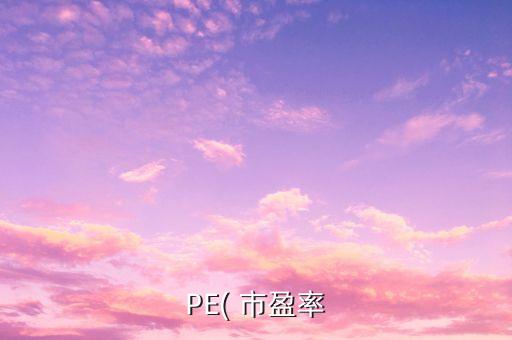 pe投資市盈率,pe是動態(tài)還是靜態(tài)市盈率