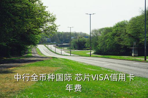 中行全幣種國際 芯片VISA信用卡年費(fèi)