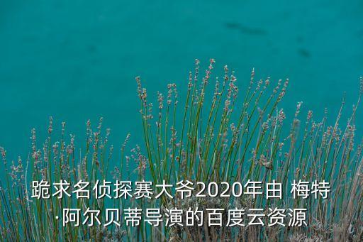 跪求名偵探賽大爺2020年由 梅特·阿爾貝蒂導演的百度云資源