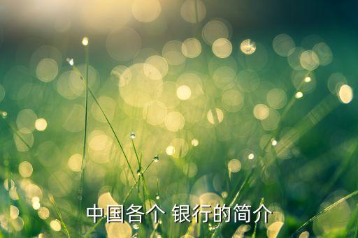 中國(guó)各個(gè) 銀行的簡(jiǎn)介