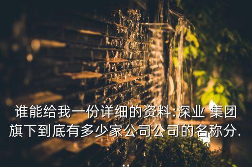 誰(shuí)能給我一份詳細(xì)的資料:深業(yè) 集團(tuán)旗下到底有多少家公司公司的名稱分...