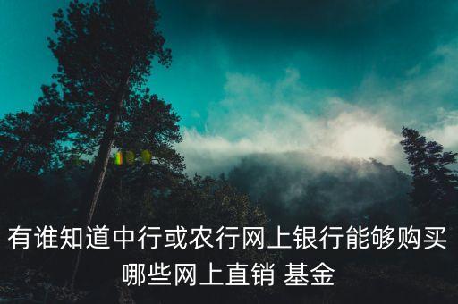 有誰知道中行或農(nóng)行網(wǎng)上銀行能夠購買哪些網(wǎng)上直銷 基金