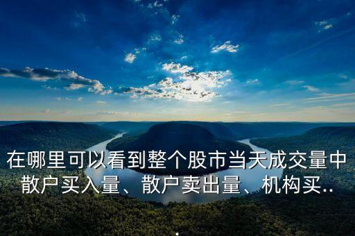 在哪里可以看到整個股市當天成交量中散戶買入量、散戶賣出量、機構買...