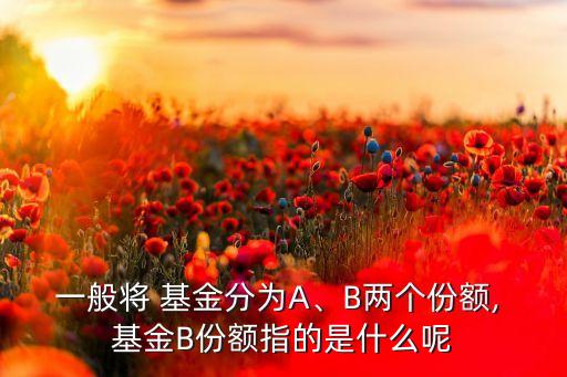 一般將 基金分為A、B兩個(gè)份額, 基金B(yǎng)份額指的是什么呢