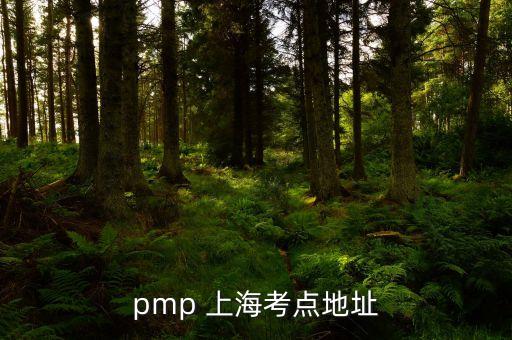 pmp 上?？键c(diǎn)地址