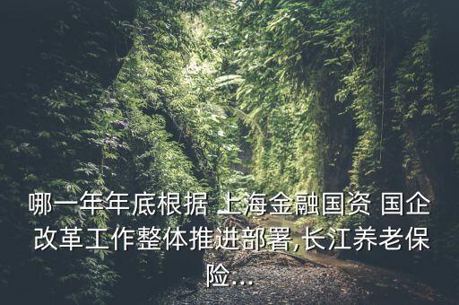 哪一年年底根據(jù) 上海金融國資 國企 改革工作整體推進部署,長江養(yǎng)老保險...