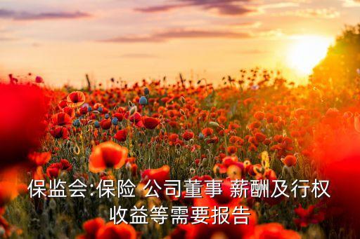 保監(jiān)會:保險 公司董事 薪酬及行權收益等需要報告