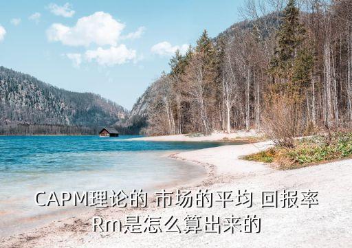 CAPM理論的 市場的平均 回報率Rm是怎么算出來的