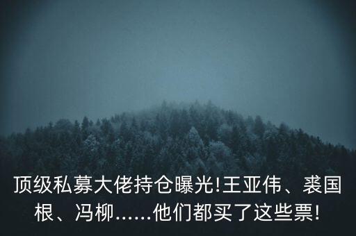 頂級私募大佬持倉曝光!王亞偉、裘國根、馮柳……他們都買了這些票!