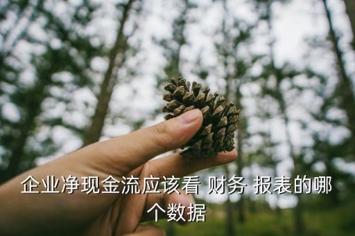 企業(yè)凈現(xiàn)金流應(yīng)該看 財務(wù) 報表的哪個數(shù)據(jù)