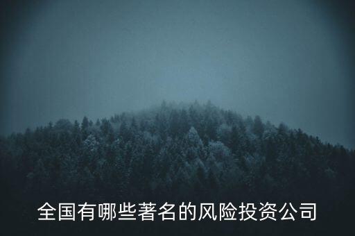 全國(guó)有哪些著名的風(fēng)險(xiǎn)投資公司