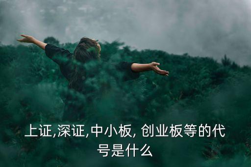 上證,深證,中小板, 創(chuàng)業(yè)板等的代號(hào)是什么