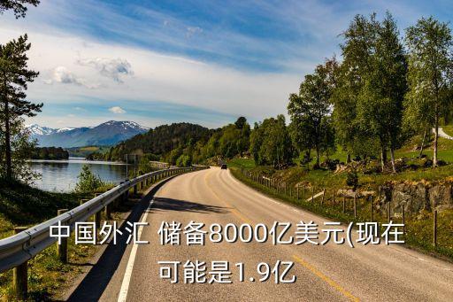 中國(guó)外匯 儲(chǔ)備8000億美元(現(xiàn)在可能是1.9億