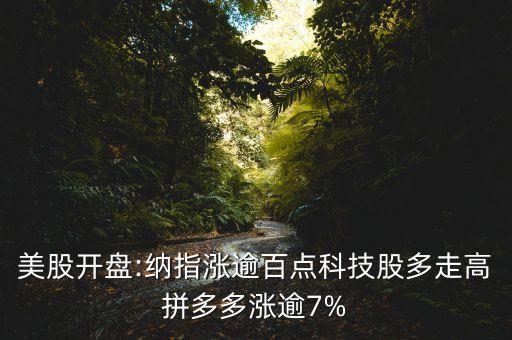 美股開盤:納指漲逾百點科技股多走高拼多多漲逾7%