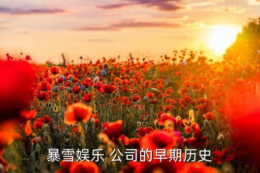 靠并購身價(jià)過億的那些游戲公司