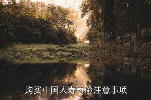  購(gòu)買(mǎi)中國(guó)人壽壽險(xiǎn)注意事項(xiàng)