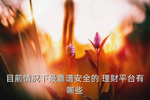 目前情況下最靠譜安全的 理財(cái)平臺(tái)有哪些