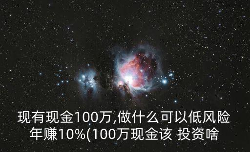 現(xiàn)有現(xiàn)金100萬,做什么可以低風險年賺10%(100萬現(xiàn)金該 投資啥