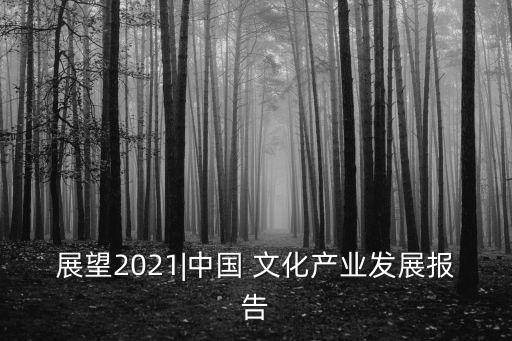 展望2021|中國 文化產業(yè)發(fā)展報告