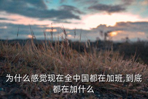 中國(guó)網(wǎng)我向總理說句話