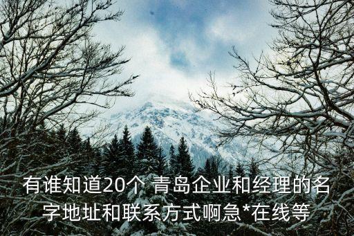 有誰知道20個 青島企業(yè)和經(jīng)理的名字地址和聯(lián)系方式啊急*在線等