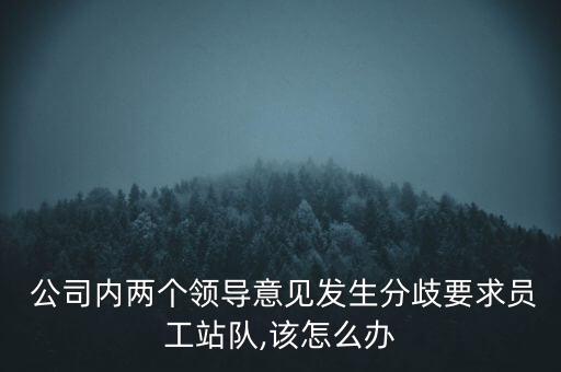  公司內(nèi)兩個領(lǐng)導(dǎo)意見發(fā)生分歧要求員工站隊,該怎么辦