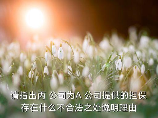 請指出丙 公司為A 公司提供的擔保存在什么不合法之處說明理由