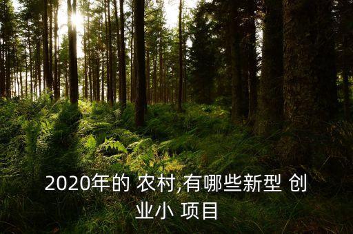 2020年的 農(nóng)村,有哪些新型 創(chuàng)業(yè)小 項(xiàng)目