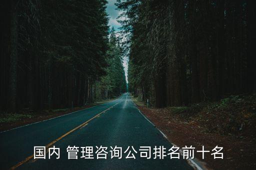 國內(nèi) 管理咨詢公司排名前十名