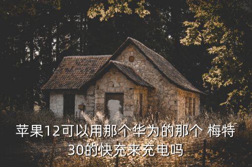 梅特珀羅斯公司