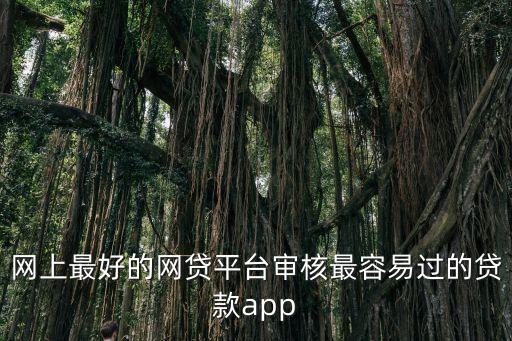 網(wǎng)上最好的網(wǎng)貸平臺(tái)審核最容易過的貸款app