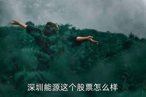 深圳能源這個(gè)股票怎么樣