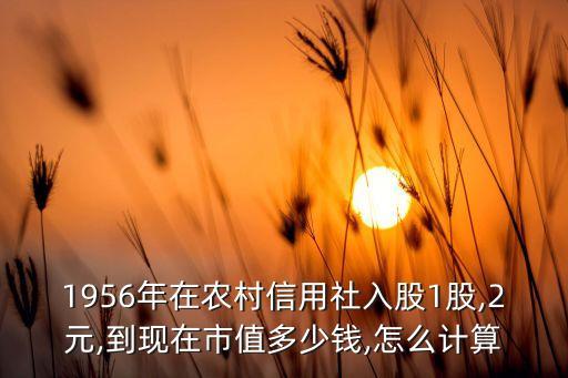 1956年在農村信用社入股1股,2元,到現(xiàn)在市值多少錢,怎么計算