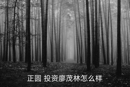 長沙通程龍騰投資發(fā)展有限公司