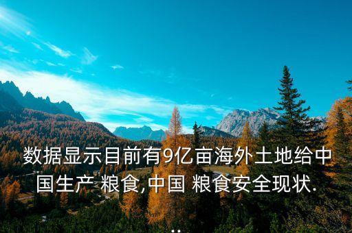  數據顯示目前有9億畝海外土地給中國生產 糧食,中國 糧食安全現狀...